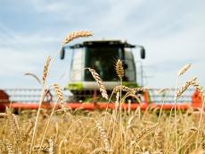 Agricultura1