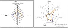 Estrategias de fidelizaci�n en entornos B2B y B2C