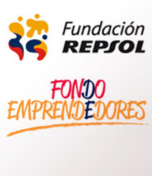 Fondo Repsol convocatoria 2013