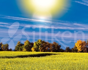 SILIKEN