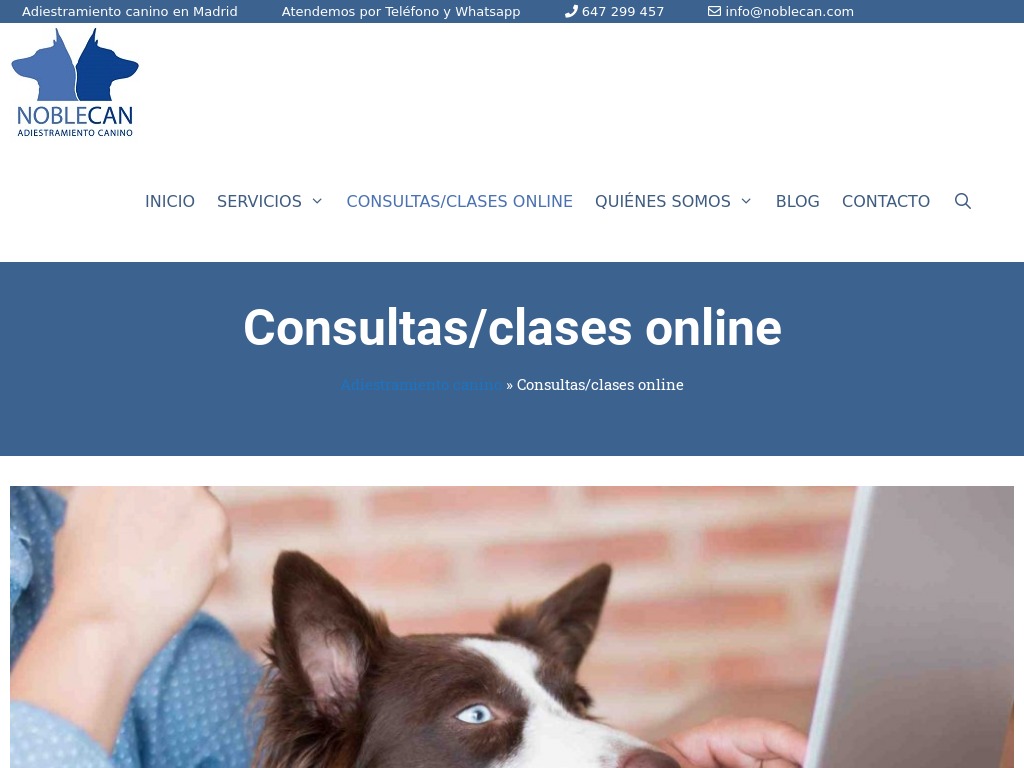 Clases/consultas online