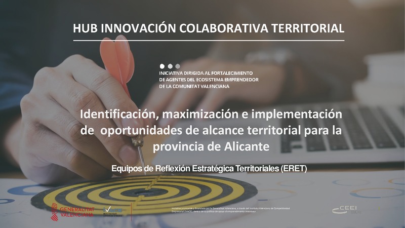 Identificacin, maximizacin e implementacin de oportunidades de alcance territorial para la provincia de Alicante (Portada)