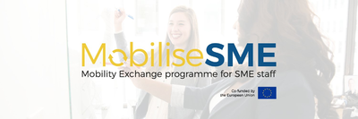 MobiliseSME
