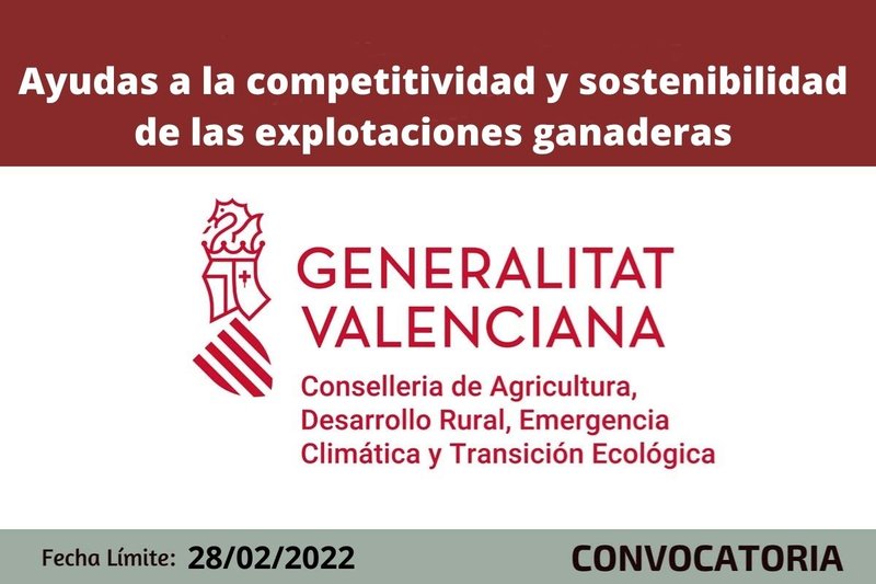 Ampliar imagen