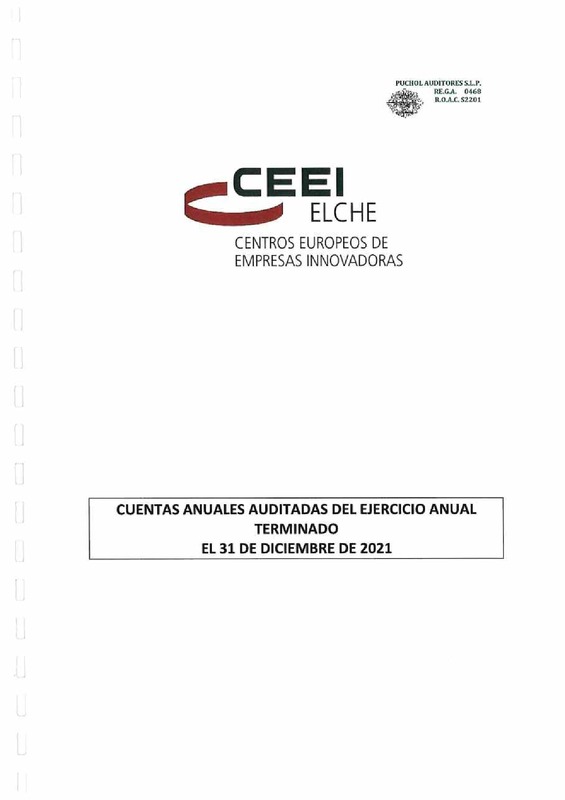 Cuentas anuales e Informe de auditoras 2021-CEEI Elche