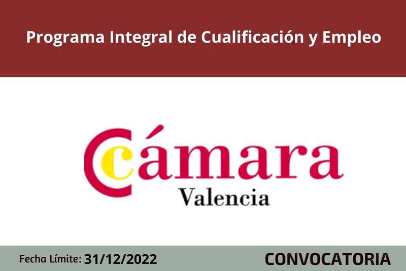 Ampliar imagen