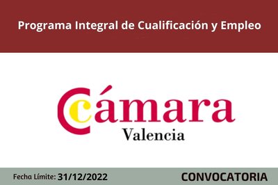 Programa Integral de Cualificaci�n y Empleo. Plan de Capacitaci�n.Programa PICE