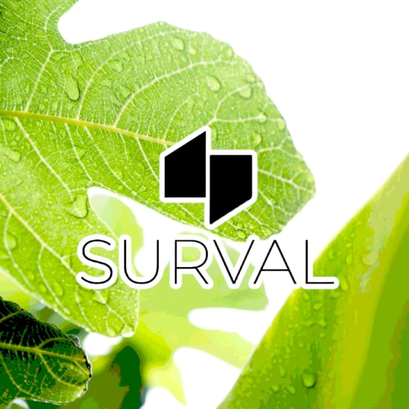 Logo Surval Distribuciones