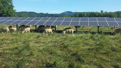 La combinacin de agricultura con produccin de energa solar conseguira cubrir la totalidad de la demanda mundial de electricida