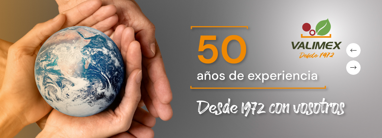 VALIMEX, S.L.