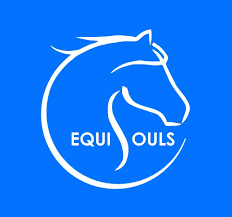 Logo de Equisouls