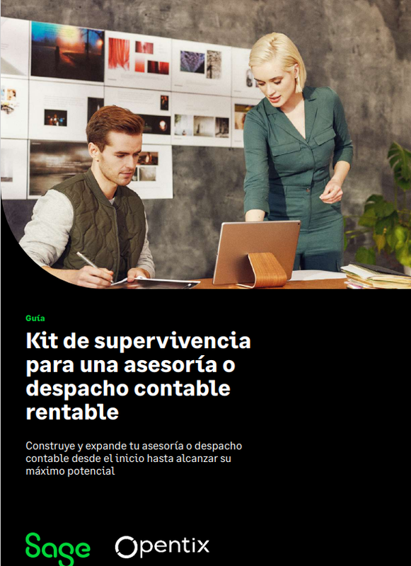 Kit de supervivencia para una asesora o despacho contable rentable