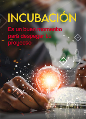 INCIBE incubaci�n sin fecha