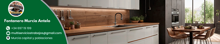 Fontaneros Murcia 24 horas