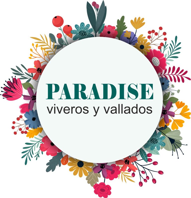 Paradise Viveros