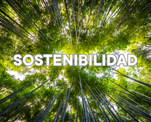 sostenibilidad