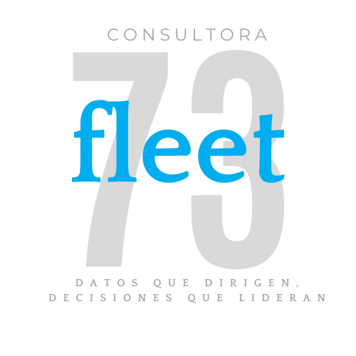 Fleet73 Consultora
