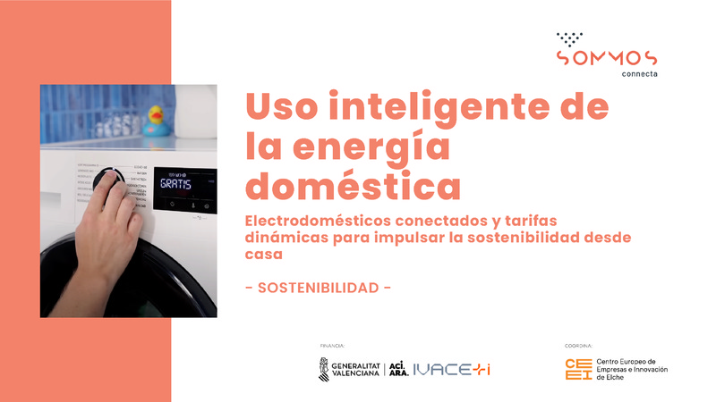 Uso inteligente de la energ�a dom�stica