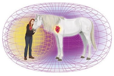 caballos