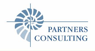 PARTNERS CONSULTING