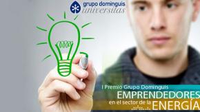 I Premio Grupo Dominguis "Emprendedores en el sector de la Energa"