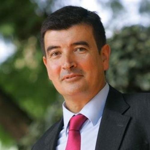 Fernando Giner Grima