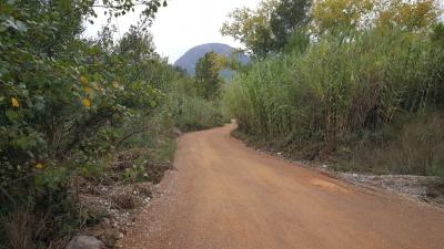 Ayudas acondicionamiento caminos rurales