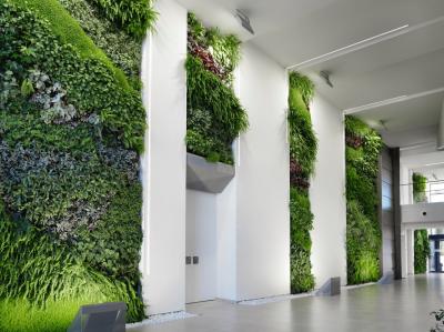 Instalaci�n realizada en la empresa San Lucar Fruit