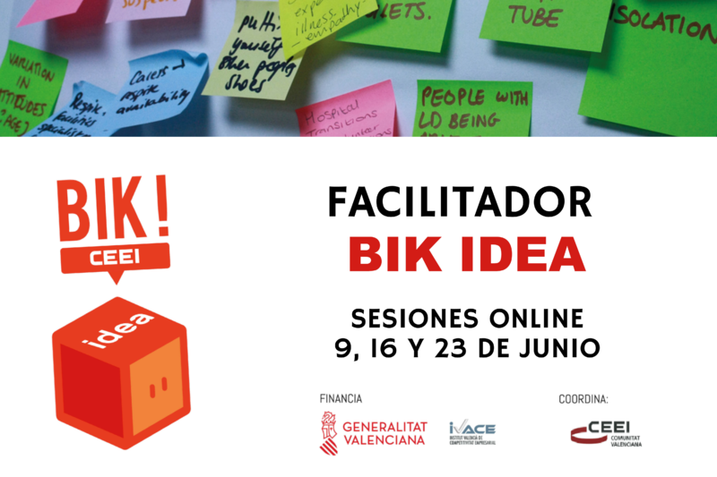 Sesiones online Facilitadores BIK Idea