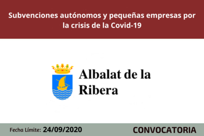 Subvenciones autnomos y pequeas empresas por la crisis de la Covid-19