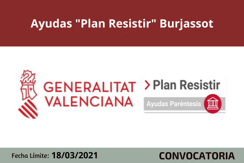 Ampliar imagen